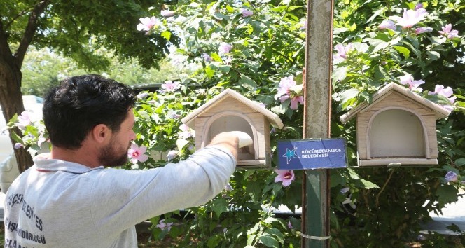 Küçükçekmece’de sokak hayvanlarına yem ve su takviyesi