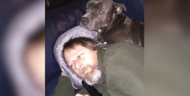 Köpeğini sevdi ve bu hale geldi!