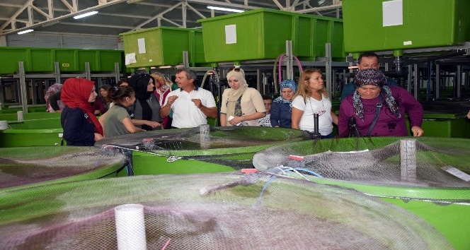 Çivril’de “Işıklı Gölünün Balıkçı Kadınları” projesi hayata geçirildi