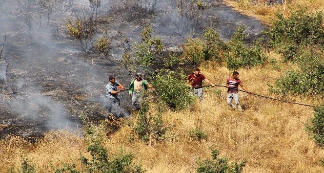 Hizan’da orman yangını
