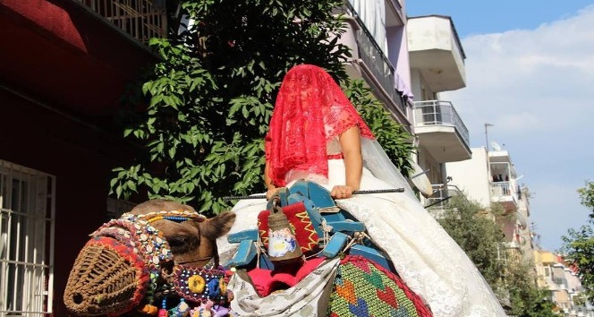 İnternet ile değil develer sayesinde tanışıp evlendiler