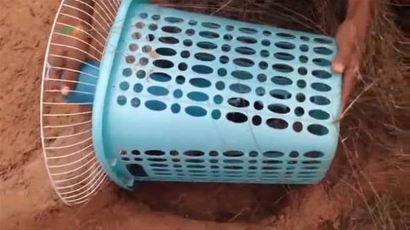 ...