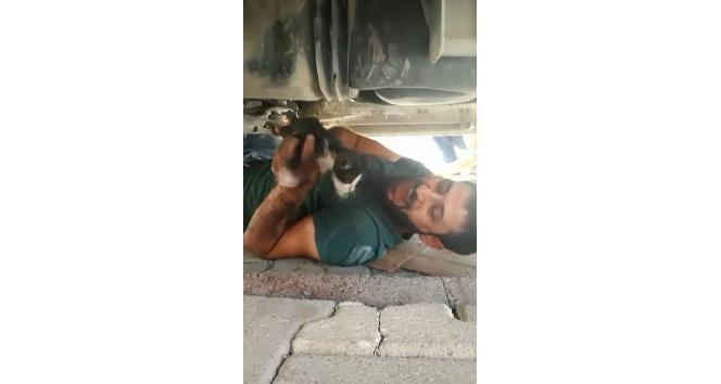 Otomobilin motor kısmına sıkışan kediyi vatandaş kurtardı