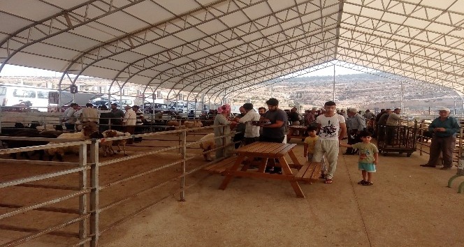 Kurban alım ve satımı Yeni Hayvan Pazarında yapılacak