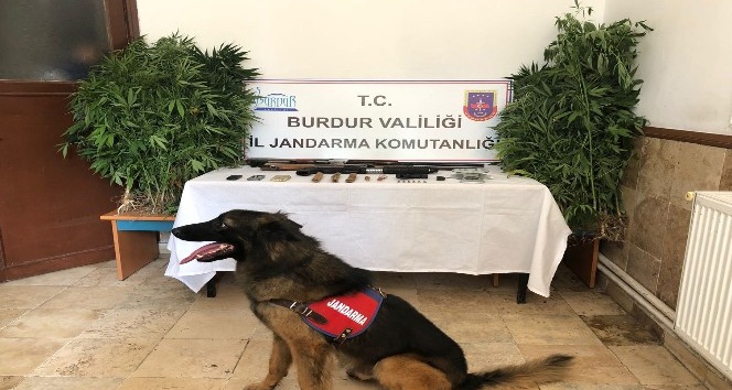 Burdur’da jandarmadan dedektör köpekli uyuşturucu operasyonu