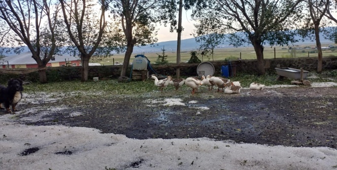 Bir anda bastırdı! Her yer bembeyaz oldu