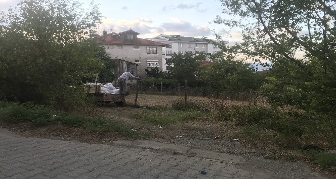 Akçakoca kent merkezinde fındık harmanı yapanlar uyarıldı