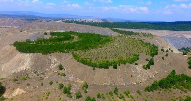 Kütahya’da eski maden sahaları ağaçlandırılıyor