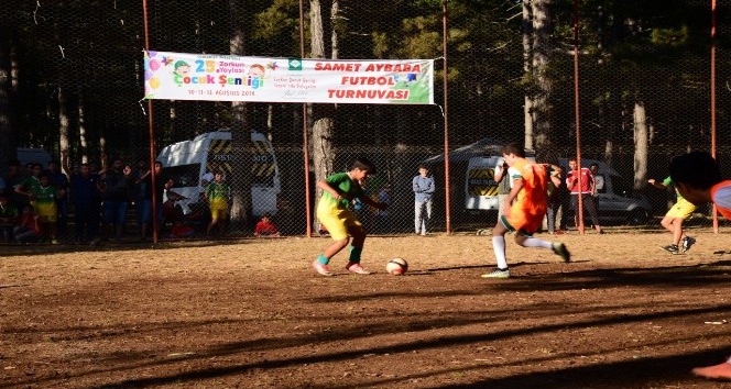 Samet Aybaba Futbol Turnuvası final maçı ile sona erdi