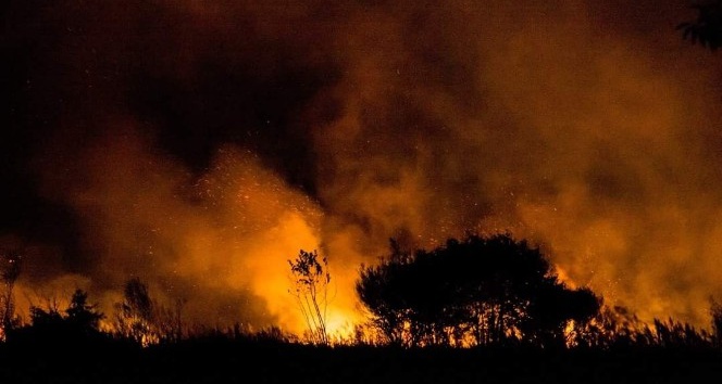 İznik’te sazlık alanda çıkan yangın korkuttu