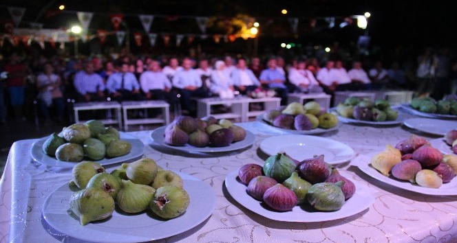 Belen’de incir üreticileri yarıştı