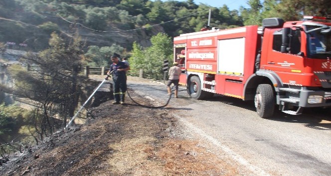 Aydın’da piknik ateşi yangına sebep oldu