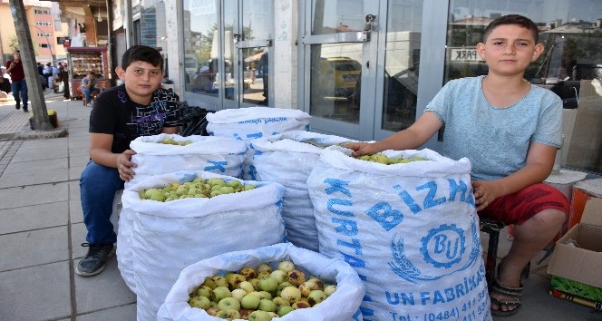 İhtiyaçlarını yerli elma satışıyla karşılıyorlar