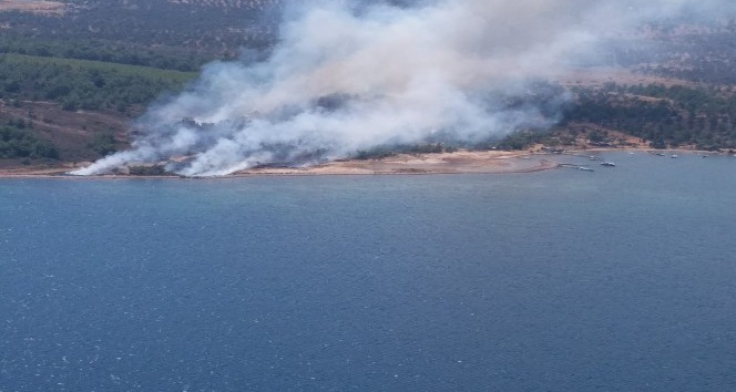 Cunda adasında orman yangını