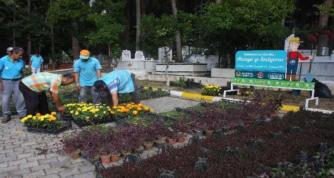 Alanya Belediyesi 21 mezarlıkta 55 bin çiçek dağıtacak