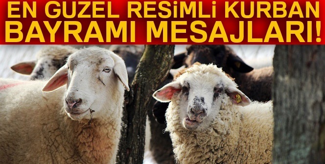 21 Ağustos resimli kurban mesajları EN YENİLER| En güzel anlamlı kurban bayramı mesajları