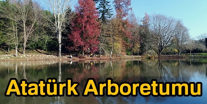 Atatürk Arboretumu nerededir? Atatürk Arboretumu içinde neler var? (HADİ SORUSU)