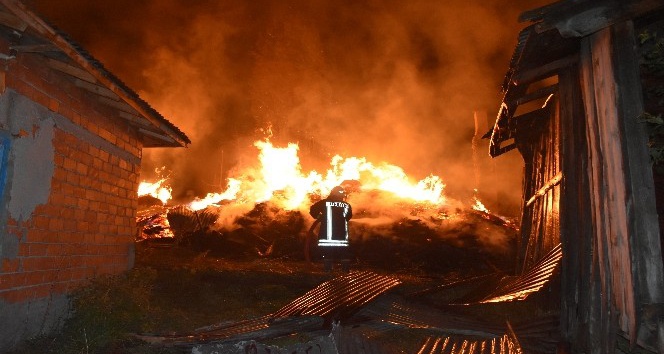 Tosya’da çıkan yangında 8 ev tamamen yandı