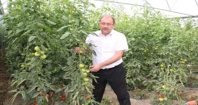 Erzincan’da sera yatırımları devam ediyor