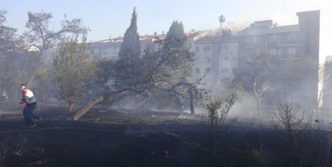 Korku dolu dakikalar! Vatandaşlar sokağa döküldü