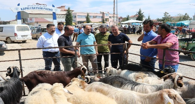 Başkan Özaltun, hayvan pazarını ziyaret etti
