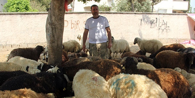 Kurban satıcısı her yerde alacak verecek defterini arıyor
