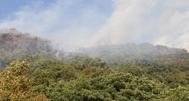 Kastamonu’da çıkan orman yangını helikopter ile söndürüldü
