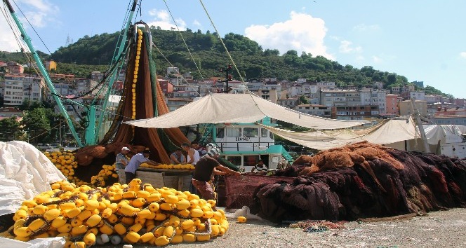 Balıkçılara göre ’palamut yüz güldürecek’