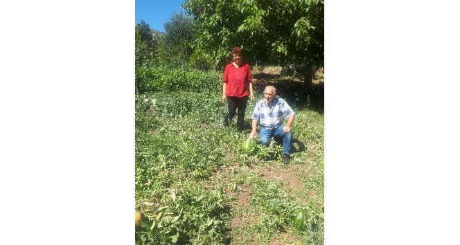 Ekolojik Pazar Projesiyle organik tarım değer kazanıyor
