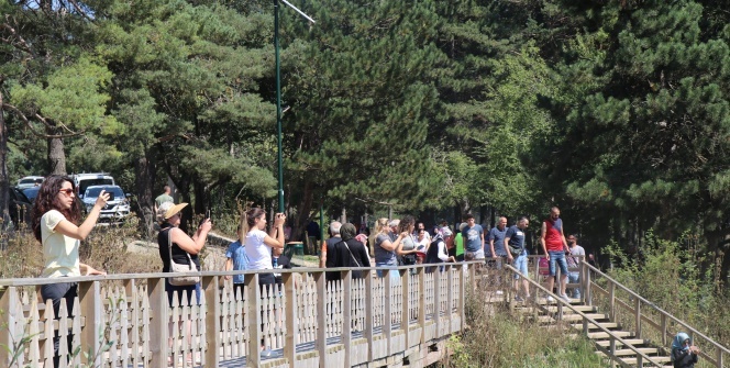 Kilometrelerce kuyruk oluştu! Yol kenarına park edip yürüdüler