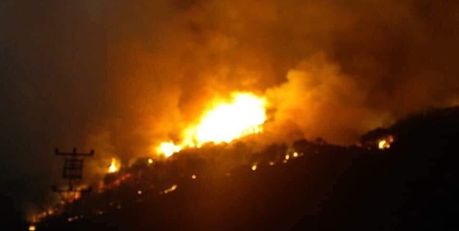Ormanlık alanda korkutan yangın! Köyler boşaltılıdı haberine yalanlama