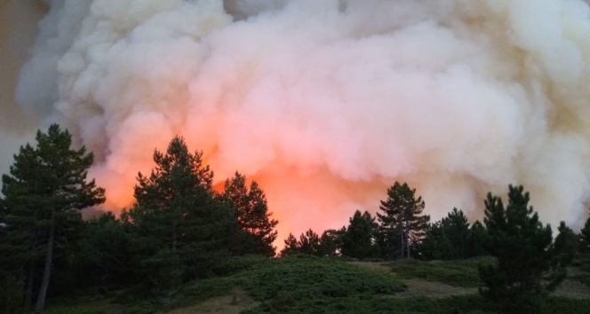 Kastamonu’daki orman yangını söndürüldü