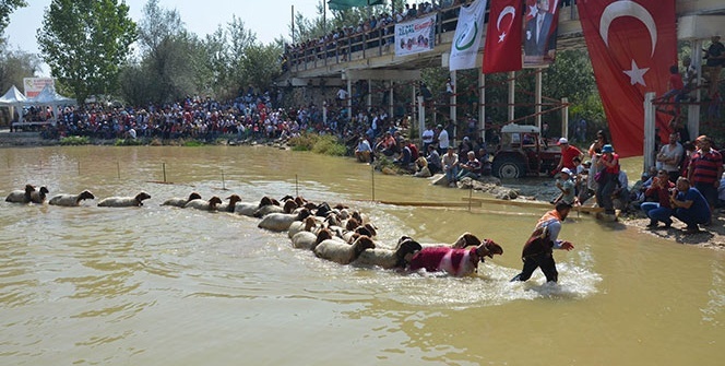 Böyle yarışma görülmedi!