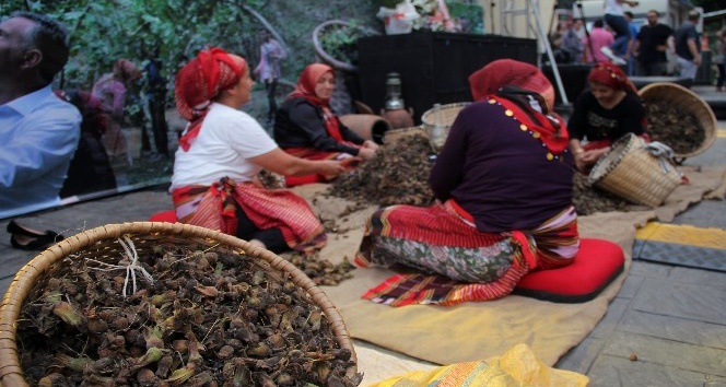 Fındığın Başkenti Giresun’da fındık festivali düzenlendi