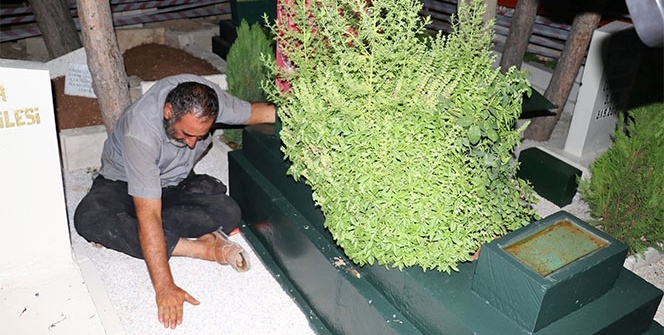 6 aydır başından ayrılmıyor!