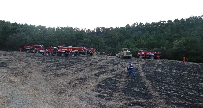 Bolu’da 2 hektarlık orman arazisi yangında zarar gördü