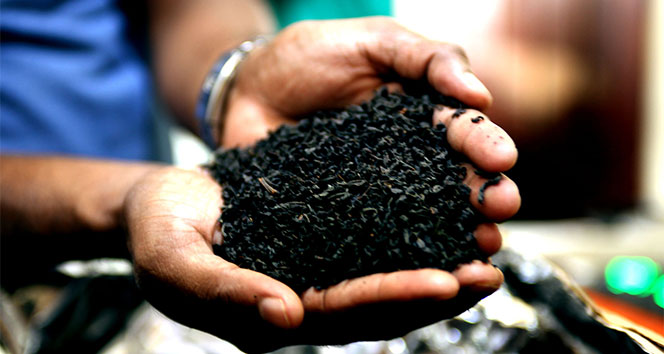 Dünyada çayın merkezi: Sri Lanka