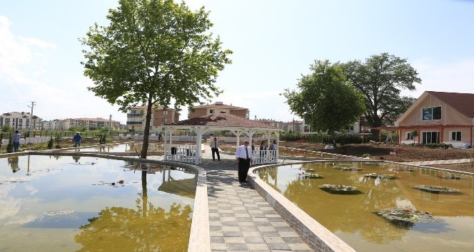 Türkiye’nin ilk ve tek Nilüfer Sanat Parkı Bolu’da açılıyor