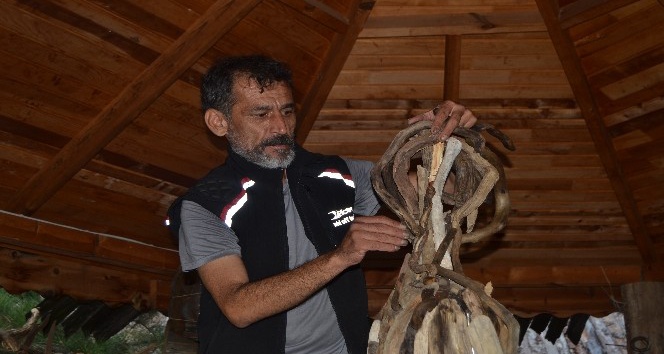 Doğada görevini tamamlayan ağaçlarla sanat yapıyor