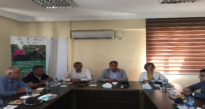 Kilis tarımında yol haritası belirlendi