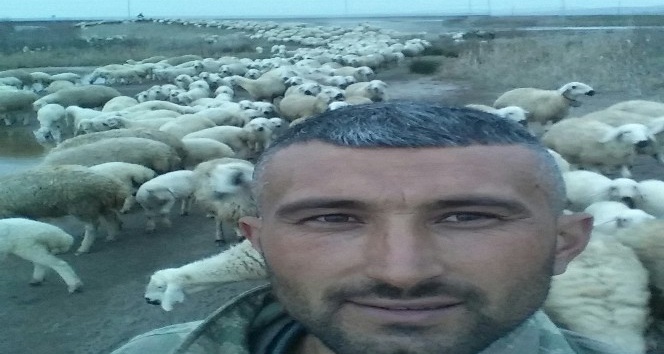 Elektrik akımına kapılan koyunu kurtarmaya çalışan çoban hayatını kaybetti