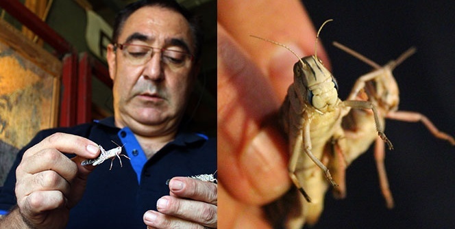 Mesleğini bıraktı bu işe başladı! Herkes zarar veriyor deyip kaçarken o gelir kapısına çevirdi