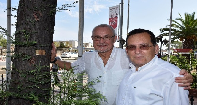 Rus iş adamı 18 yıl önce Trabzon’da diktiği ağacı görünce duygulandı