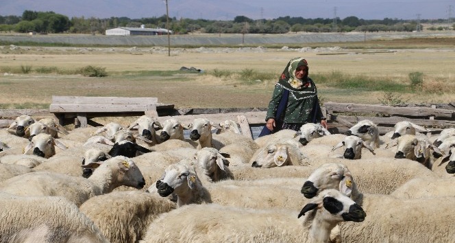 40 koyun çocuklarının geleceği açısından umut oldu