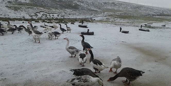 Doğu’da yüksek kesimlere mevsimin ilk karı düştü