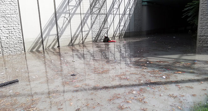 Alt geçitte mahsur kalan vatandaşları itfaiye botları kurtardı