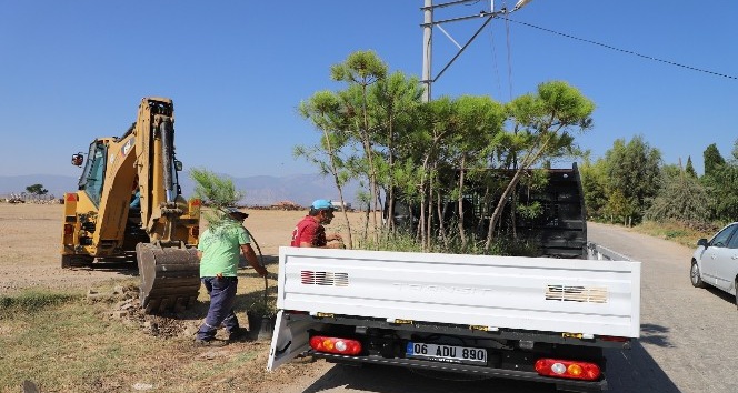 Turgutlu’nın kırsal mahalleleri ağaçlandırılıyor