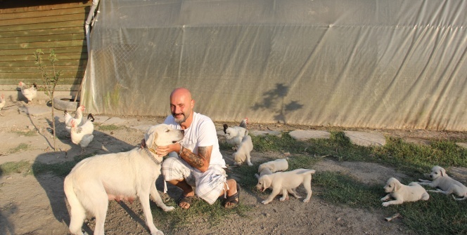 İnsanlardan sıkıldı bakın şimdi ne iş yapıyor!