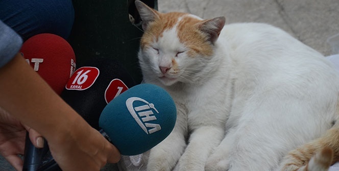 Yer: Bursa... Fenomen oldu!