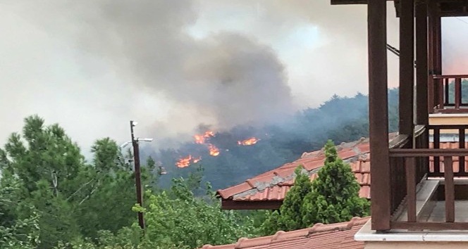 Hatay’daki orman yangını yerleşim bölgesini tehdit ediyor